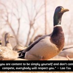 Be yourself--don't compare or compete