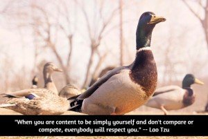 Be yourself--don't compare or compete